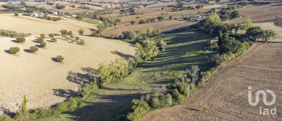 Terreno agricolo di 42.283 m² in Filottrano (60024)