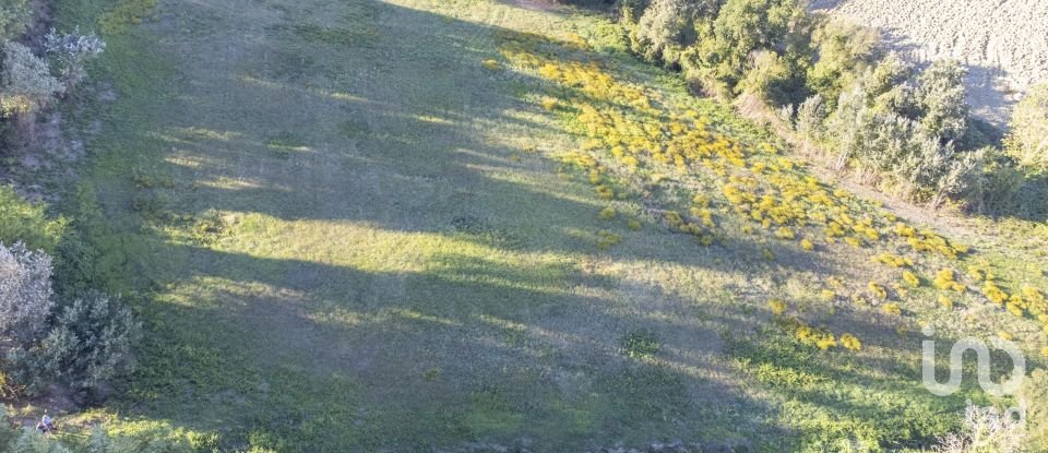 Terreno agricolo di 42.283 m² in Filottrano (60024)