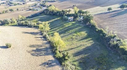 Terreno agricolo di 42.283 m² in Filottrano (60024)