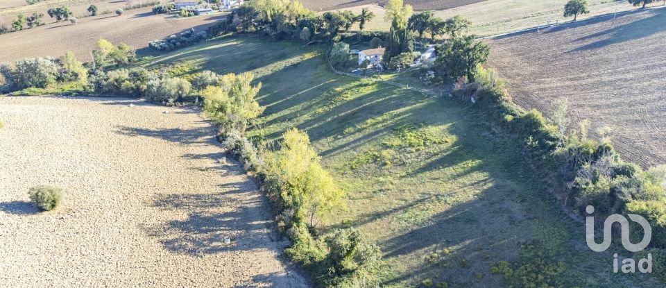 Terreno agricolo di 42.283 m² in Filottrano (60024)