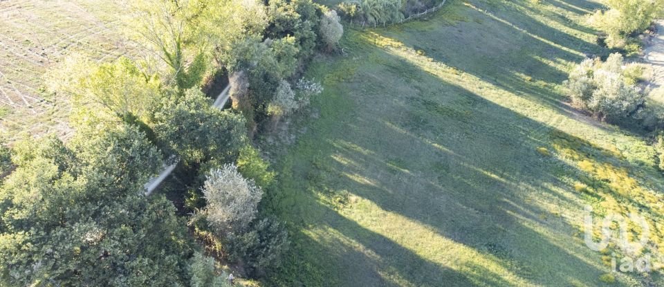 Terreno agricolo di 42.283 m² in Filottrano (60024)