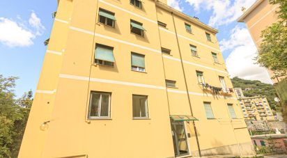 Trilocale di 56 m² a Genova (16144)