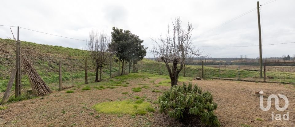 Casa indipendente / Villa 6 locali di 120 m² in Pontedera (56025)