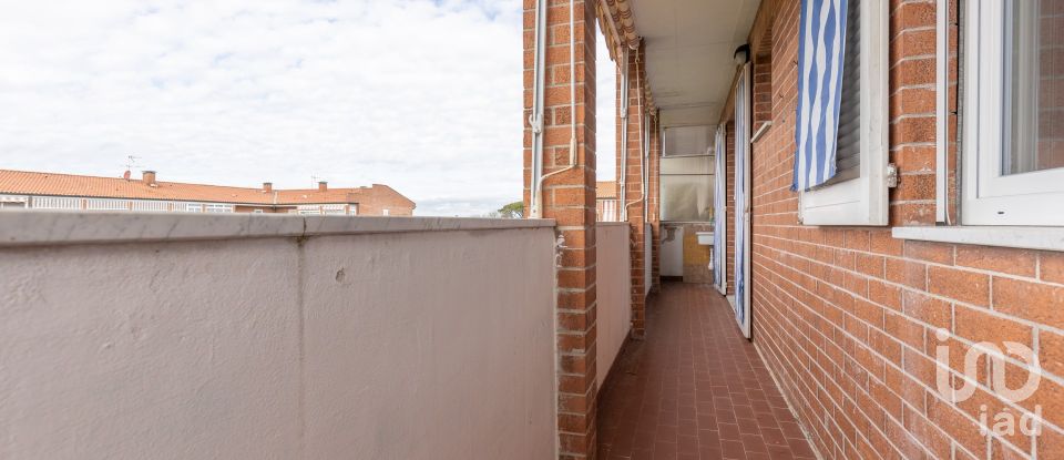 Appartamento 5 locali di 95 m² a Collesalvetti (57014)