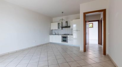 Three-room apartment of 65 m² in Terricciola (56030)