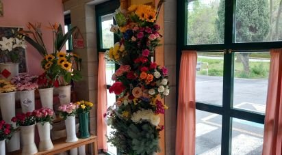 Negozio / locale commerciale di 37 m² in Vado Ligure (17047)