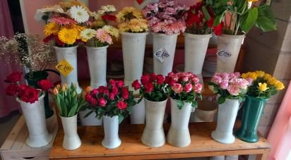 Negozio / locale commerciale di 37 m² in Vado Ligure (17047)