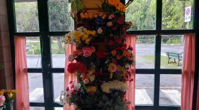 Negozio / locale commerciale di 37 m² in Vado Ligure (17047)