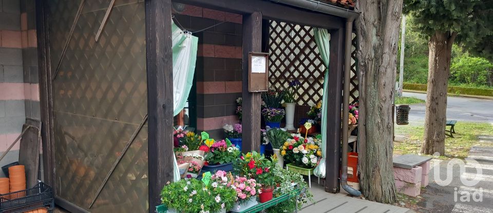 Negozio / locale commerciale di 37 m² in Vado Ligure (17047)