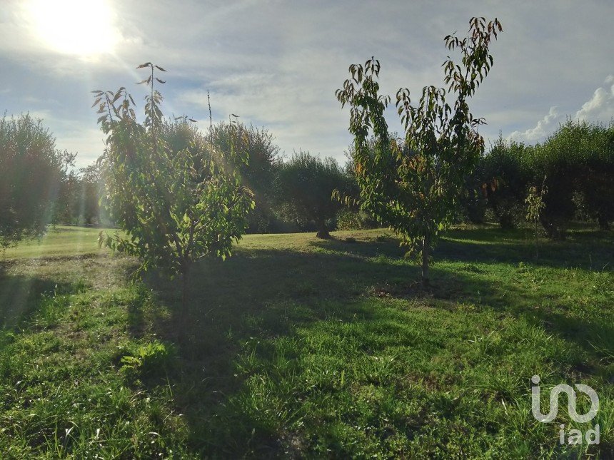 Terreno di 0 m² in Fermo (63900)