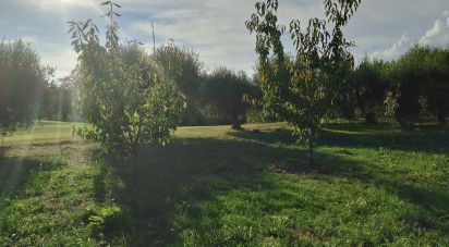 Terreno di 0 m² in Fermo (63900)