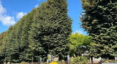 Retail property of 12 m² in Firenze (50125)