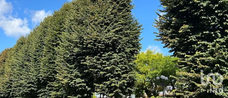 Retail property of 12 m² in Firenze (50125)