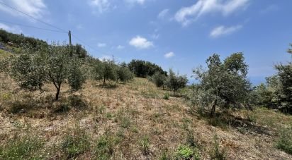 Townhouse 0 rooms of 100 m² in - (87030)