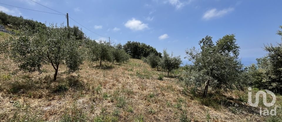 Casa indipendente 0 locali di 100 m² in - (87030)