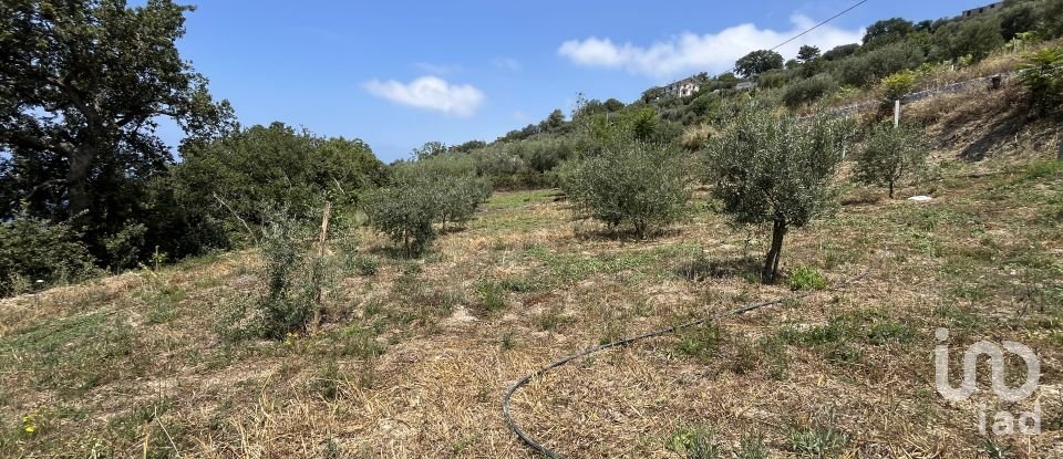 Casa indipendente 0 locali di 100 m² in - (87030)