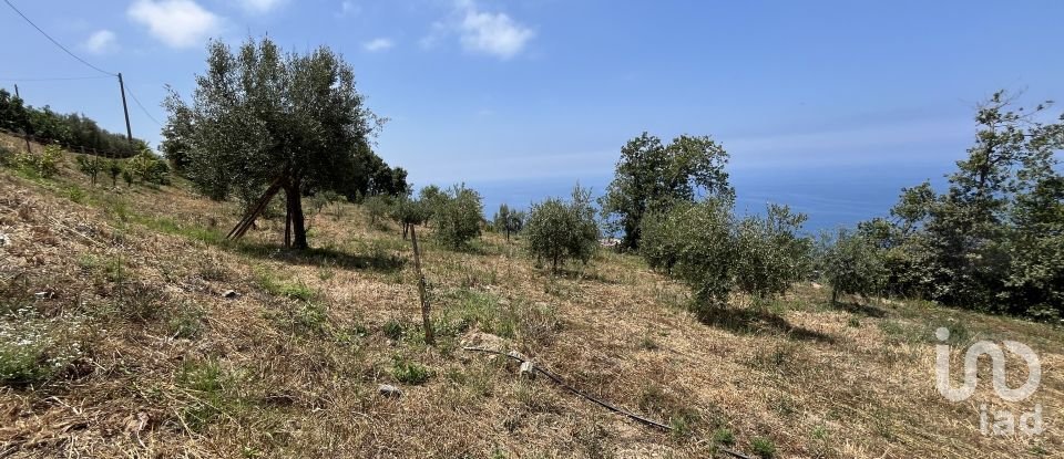 Casa indipendente 0 locali di 100 m² in - (87030)