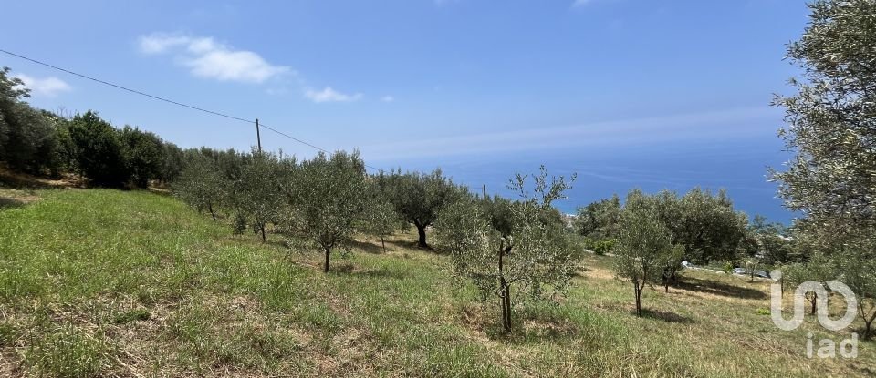 Casa indipendente 0 locali di 100 m² in - (87030)