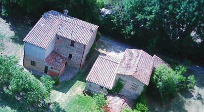 Rustico 0 locali di 300 m² in Monticiano (53015)