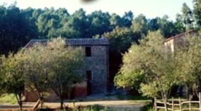 Rustico 0 locali di 300 m² in Monticiano (53015)