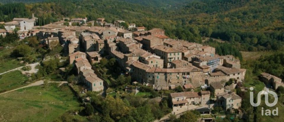 Rustico 0 locali di 300 m² in Monticiano (53015)