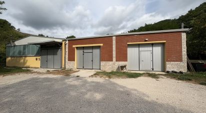 Capannone di 600 m² in Cagli (61043)