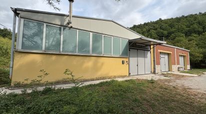 Capannone di 600 m² in Cagli (61043)