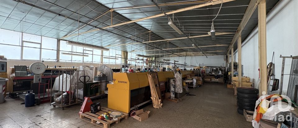 Capannone di 600 m² in Cagli (61043)