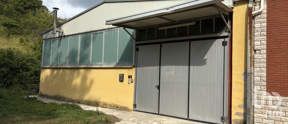 Capannone di 600 m² in Cagli (61043)