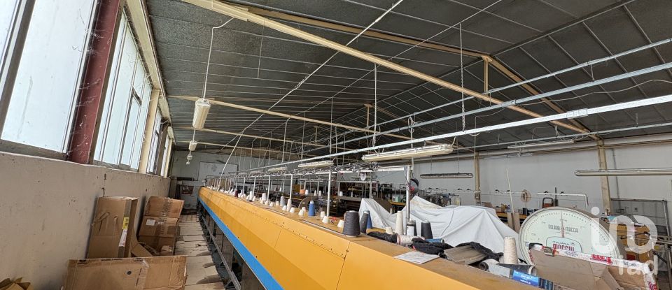 Capannone di 600 m² in Cagli (61043)