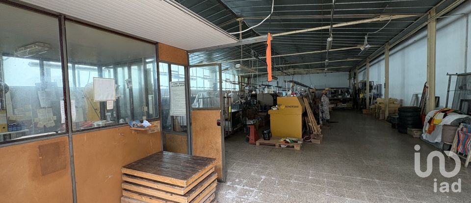 Capannone di 600 m² in Cagli (61043)