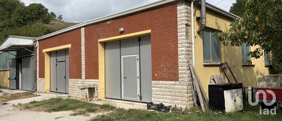 Capannone di 600 m² in Cagli (61043)