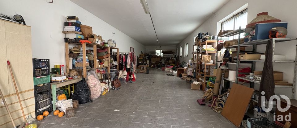 Capannone di 600 m² in Cagli (61043)