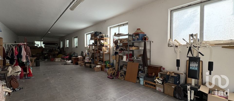 Capannone di 600 m² in Cagli (61043)