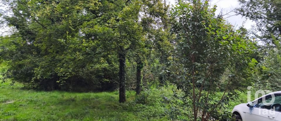 Appartamento 9 locali di 192 m² a Lugo di Vicenza (36030)