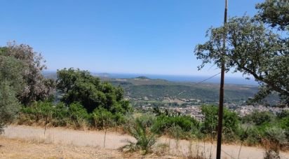 Casa indipendente / Villa 0 locali di 135 m² in Bari Sardo (08042)