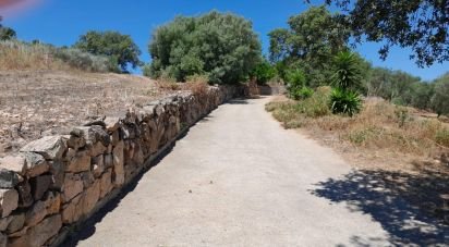 Casa indipendente / Villa 0 locali di 135 m² in Bari Sardo (08042)