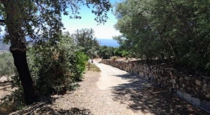 Casa indipendente / Villa 0 locali di 135 m² in Bari Sardo (08042)