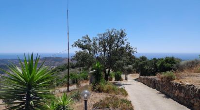 Casa indipendente / Villa 0 locali di 135 m² in Bari Sardo (08042)