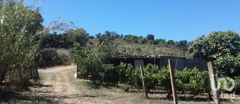 Casa indipendente / Villa 0 locali di 135 m² in Bari Sardo (08042)