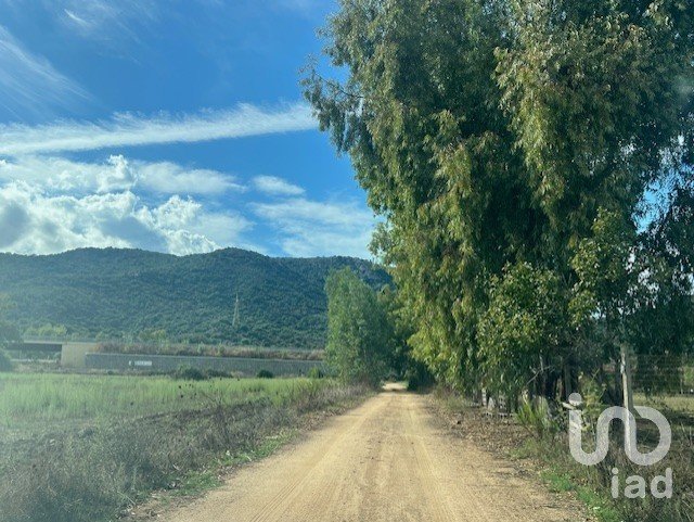 Terreno di 9.683 m² in Tortolì (08048)