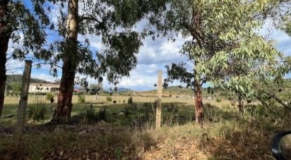 Terreno di 9.683 m² in Tortolì (08048)