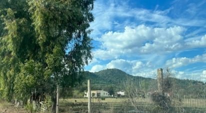 Terreno di 9.683 m² in Tortolì (08048)