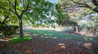 Casa indipendente 12 locali di 310 m² in Senigallia (60019)