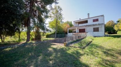 Townhouse 12 rooms of 310 m² in Senigallia (60019)