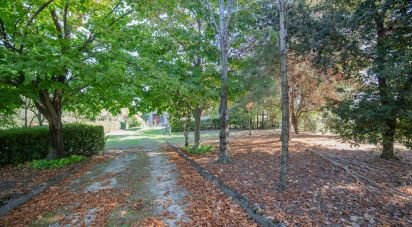 Casa indipendente 12 locali di 310 m² in Senigallia (60019)