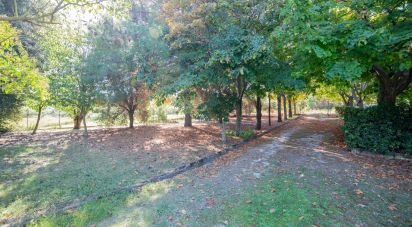 Casa indipendente 12 locali di 310 m² in Senigallia (60019)