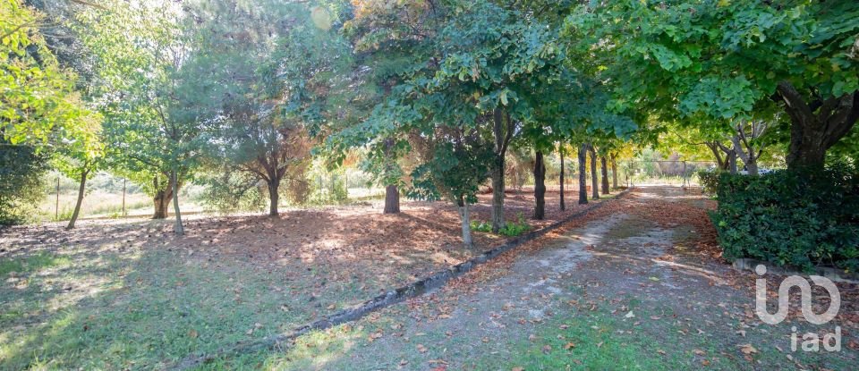 Casa indipendente 12 locali di 310 m² in Senigallia (60019)