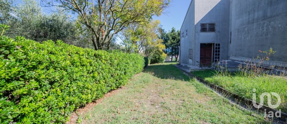 Casa indipendente 12 locali di 310 m² in Senigallia (60019)