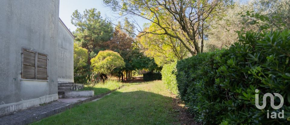 Casa indipendente 12 locali di 310 m² in Senigallia (60019)